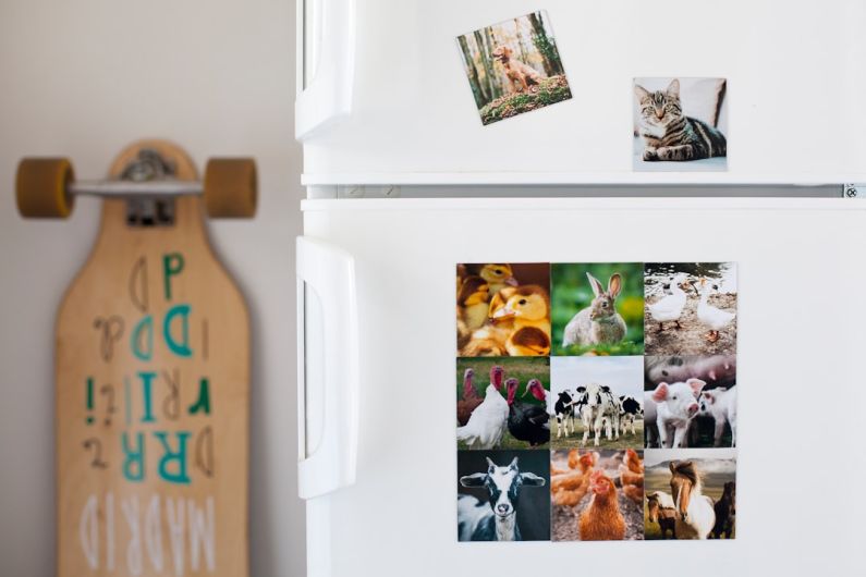 Fridge Organization - a white refrigerator with pictures of animals on it