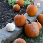 Seasonal Produce - a group of pumpkins sitting on top of a sidewalk