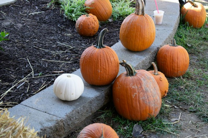 Seasonal Produce - a group of pumpkins sitting on top of a sidewalk