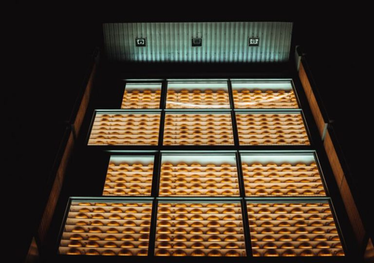 The Art of Cheese Storage