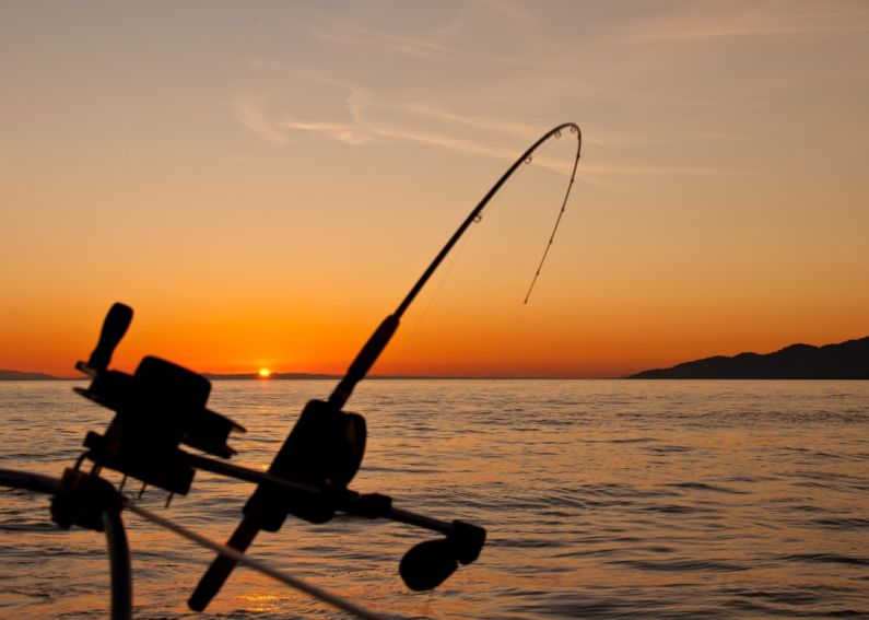 Recreational Gear - black fishing rod and body of water during golden hour
