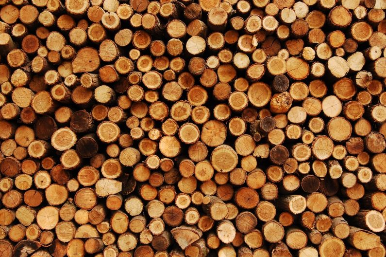Firewood Stack - a pile of small brown objects