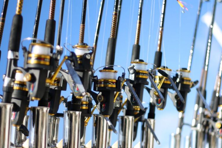 Practical Solutions for Organizing Your Fishing Gear