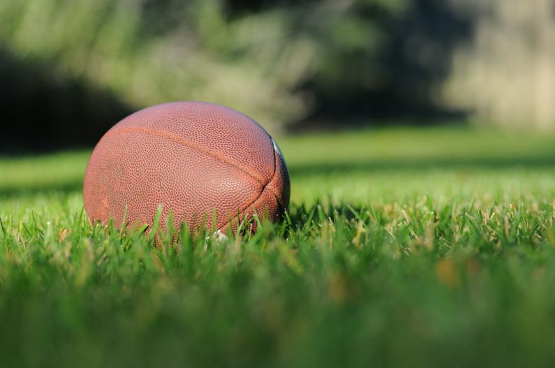 Sports Balls - selective focus photography of brown football on grass at daytime