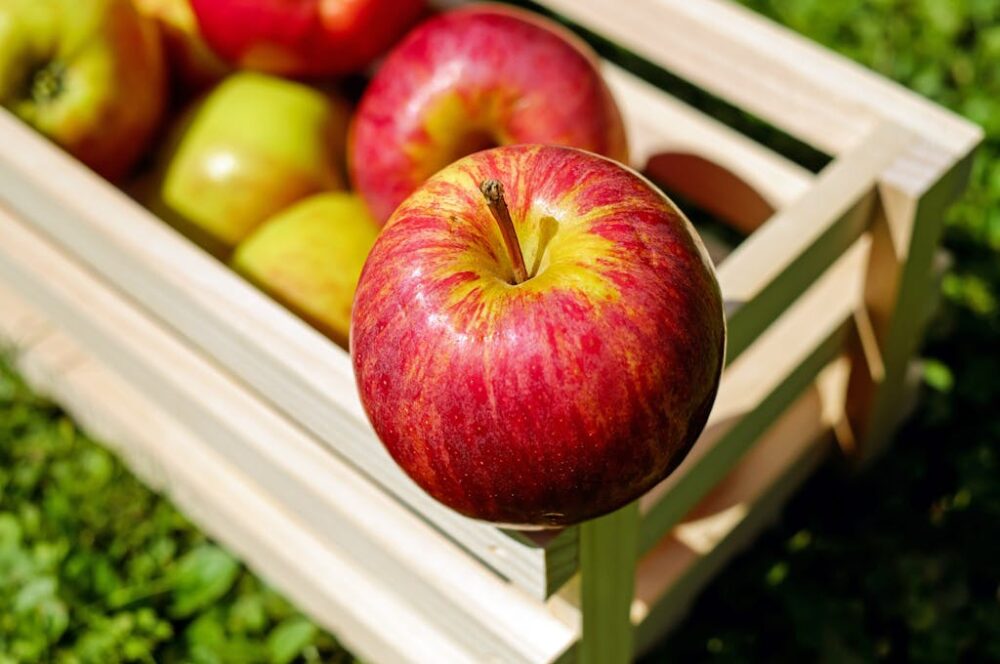 Ripe red apples in a wooden crate on grass, showcasing fresh fruit outdoors.